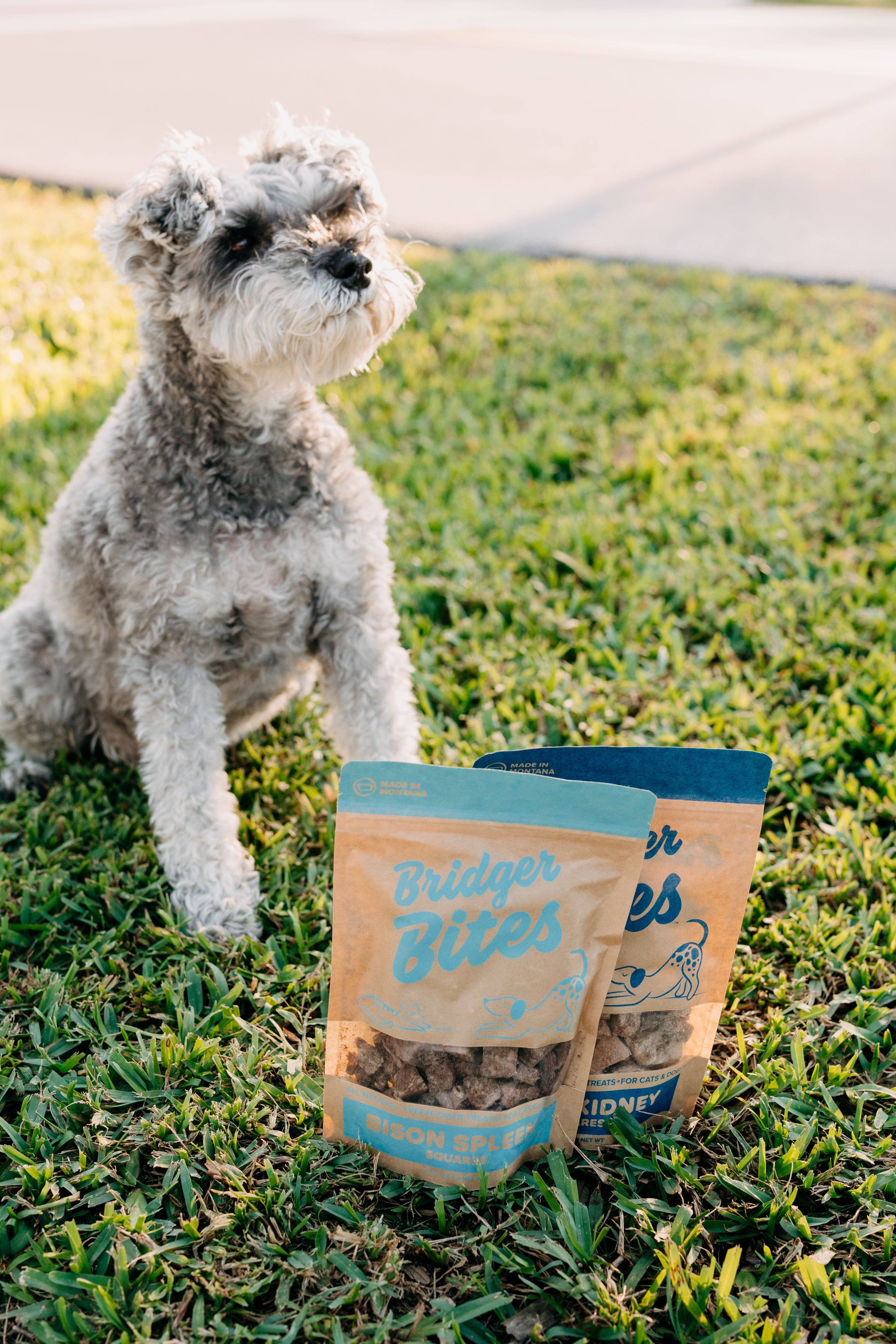 Bridger Bites, LLC - Wholesale Pet Treats - Dog - Freeze-Dried Bison Spleen3