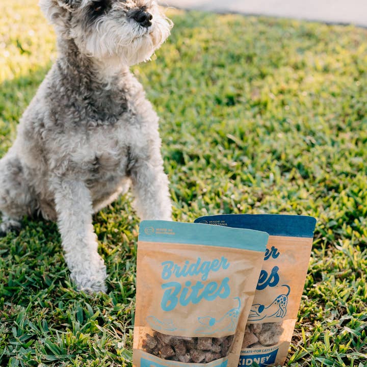 Bridger Bites, LLC - Wholesale Pet Treats - Dog - Freeze-Dried Bison Spleen3