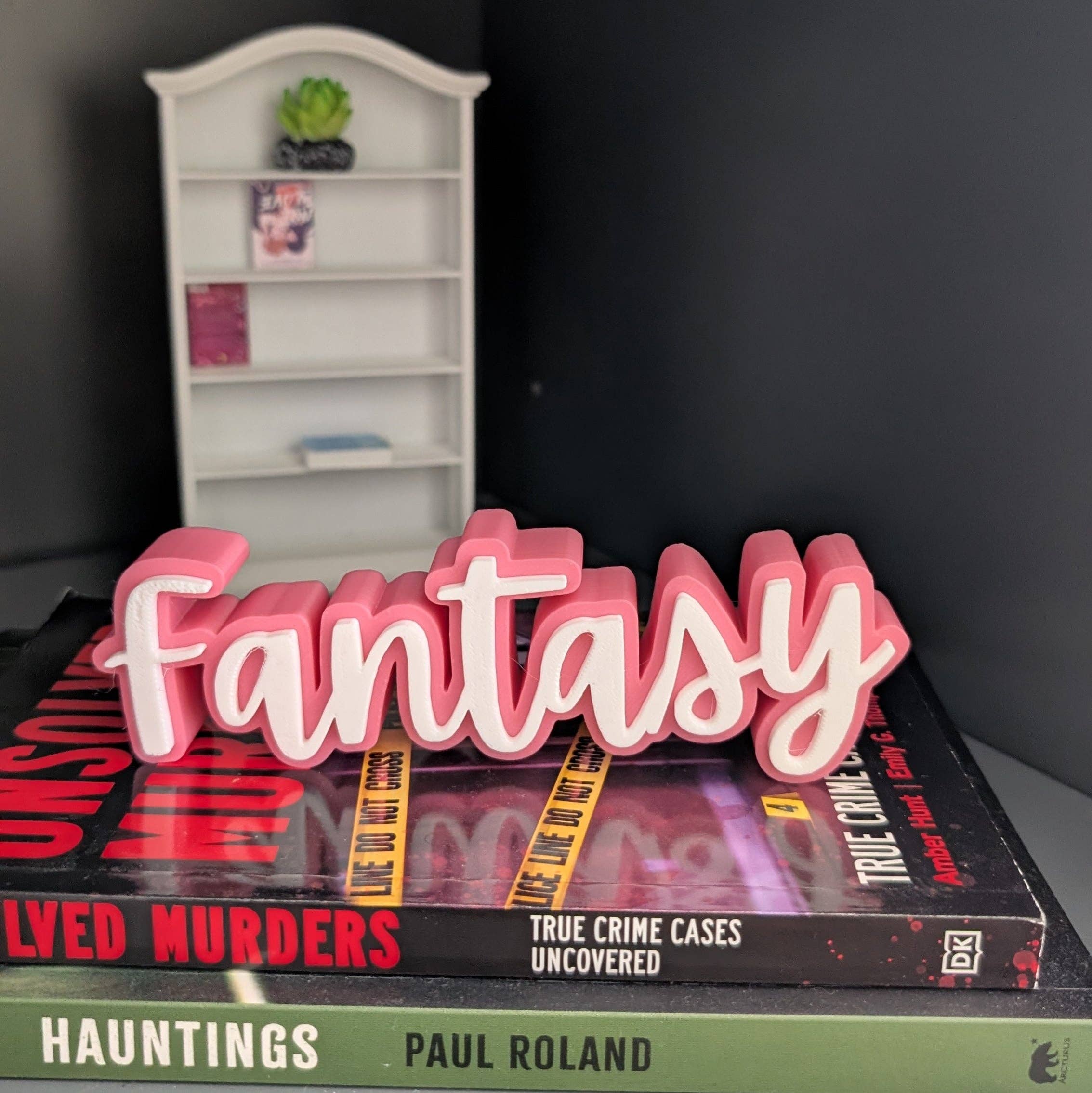 The Gift Genie LLC - Wholesale Bookend - 3D Book Sitters6