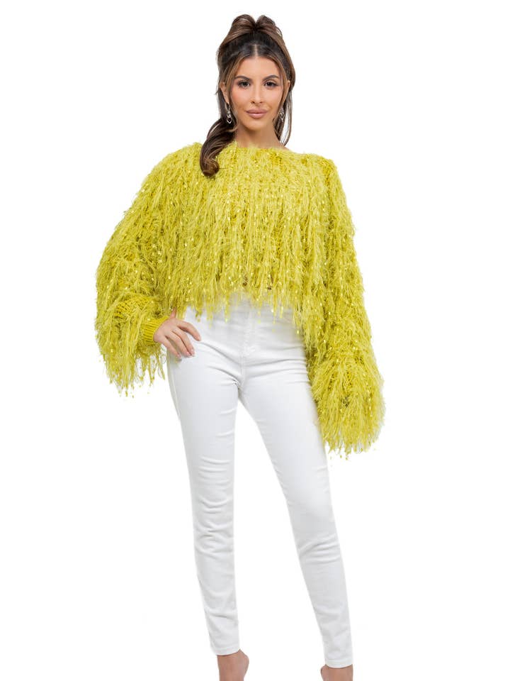 DAMESMODE PLUIZIGE PAILLETTEN TRUI voor wholesale door By Claude