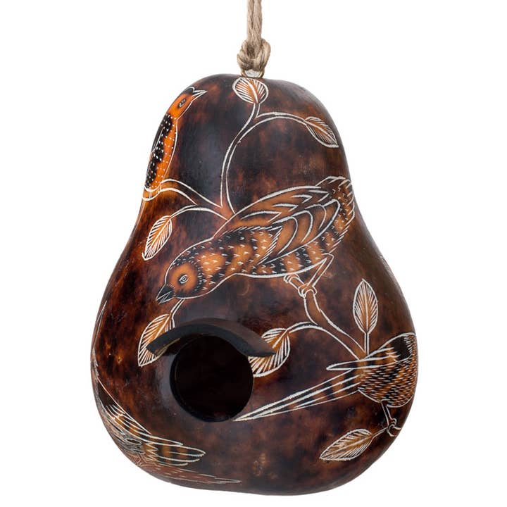 Lucuma Designs - Wholesale Bird House - Birds of North America - Gourd Birdhouse - Artist Made2