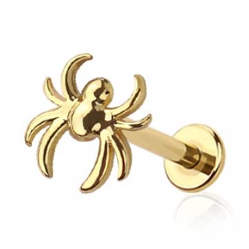 SPIDER TOP THREADLESS (PUSH IN) 316L SURGICAL STEEL LABRET for wholesale by CRAVE