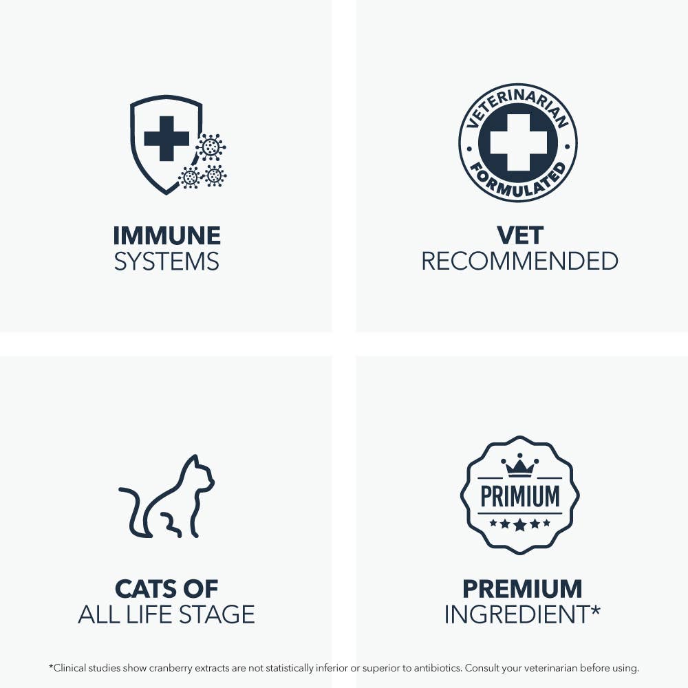 Petpal - Venta al por mayor Suplemento para mascotas - Gatos - Suplemento de L-lisina para el Apoyo Inmunológico y Respiratorio en Gatos4