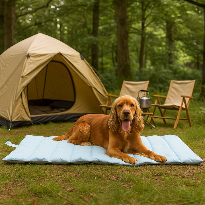Tapis de voyage résistant à l'eau et autres tendances Résultats pour caisse à chien en vente B2B. Retours gratuits et paiement à 60 jours sur Faire sur Faire.