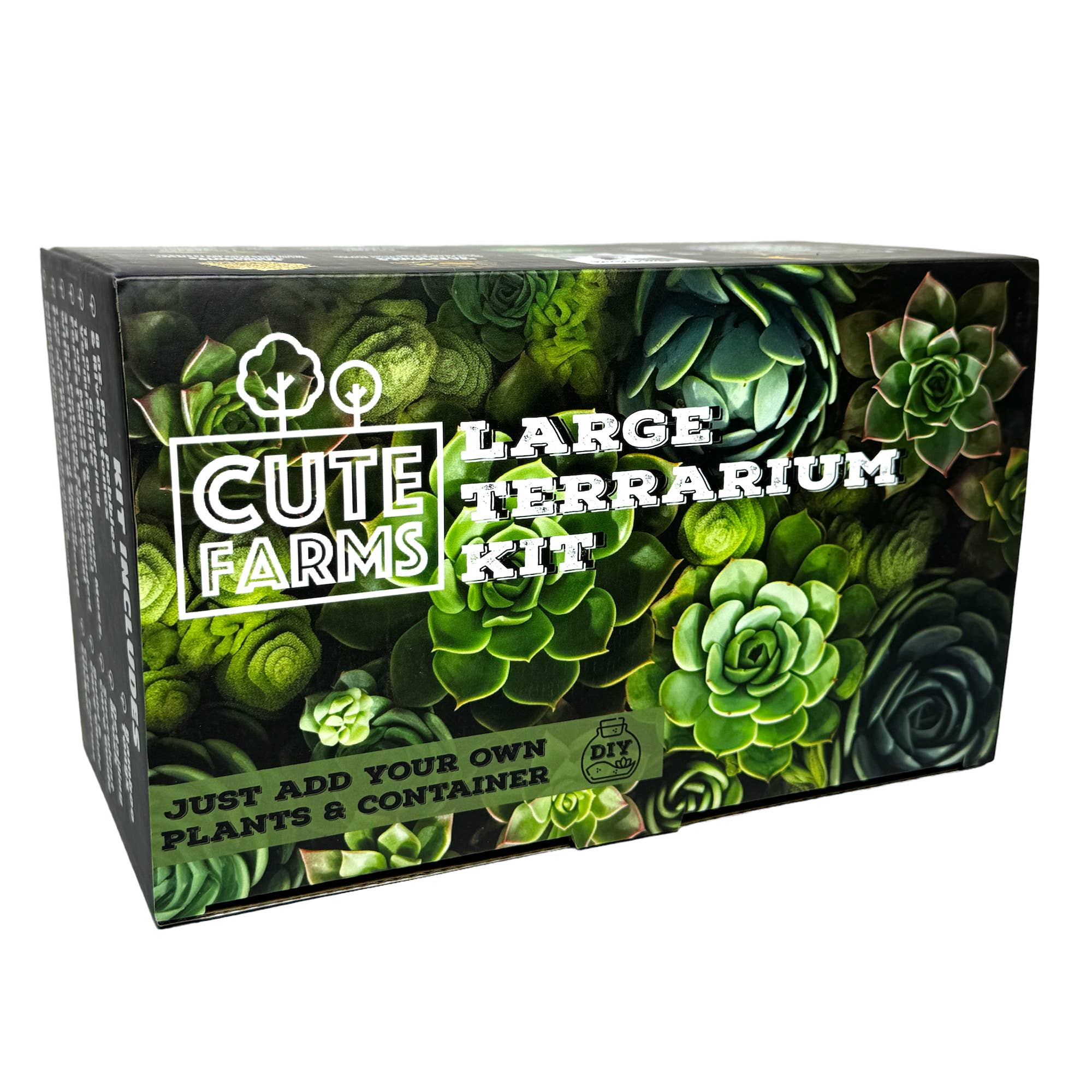 Cute Farms - Wholesale DIY Craft Kit - Large Terrarium Kit6