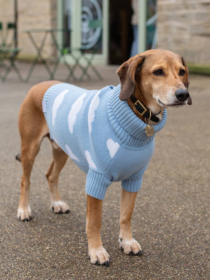 Cloud Jumper for wholesale by Bark and Tumble