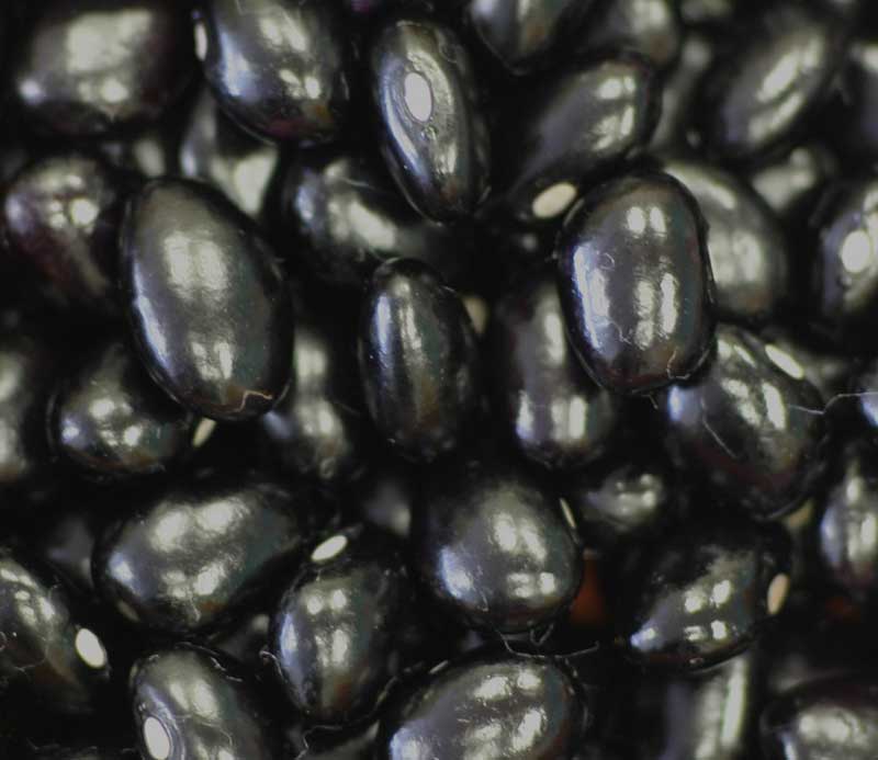 Hudson Meat Company - Wholesale Beans - BEANS BLACK DRY BULK     -     MICHIGAN0