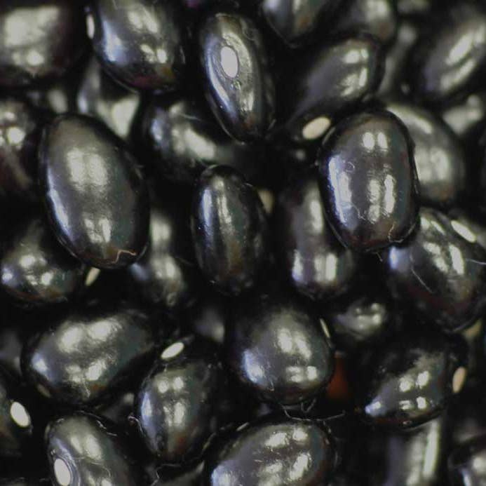 Hudson Meat Company - Wholesale Beans - BEANS BLACK DRY BULK - MICHIGAN