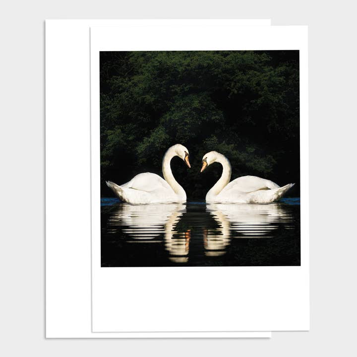 Two Swans for Life Anniversary Card for wholesale by Palm Press