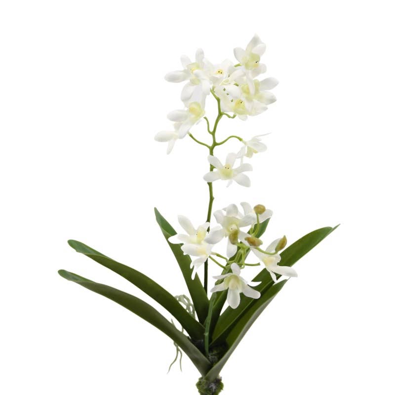 Floratexx - Wholesale Kunstbloemen - Vanda orchidee met bladeren, 43 cm, wit0