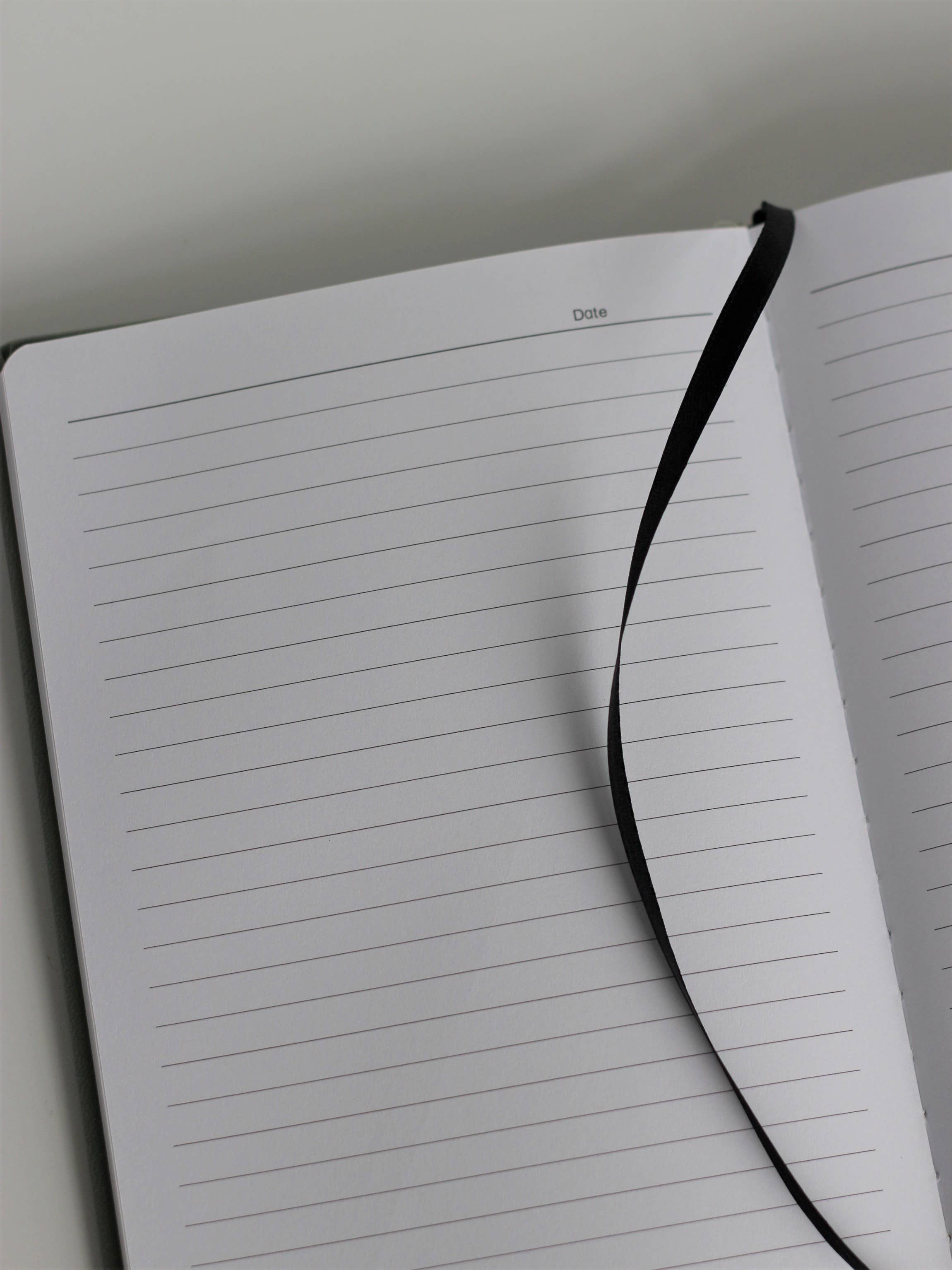 Do Good Paper Co. - Vendita all'ingrosso Diari/agende - Diario delle alghe2