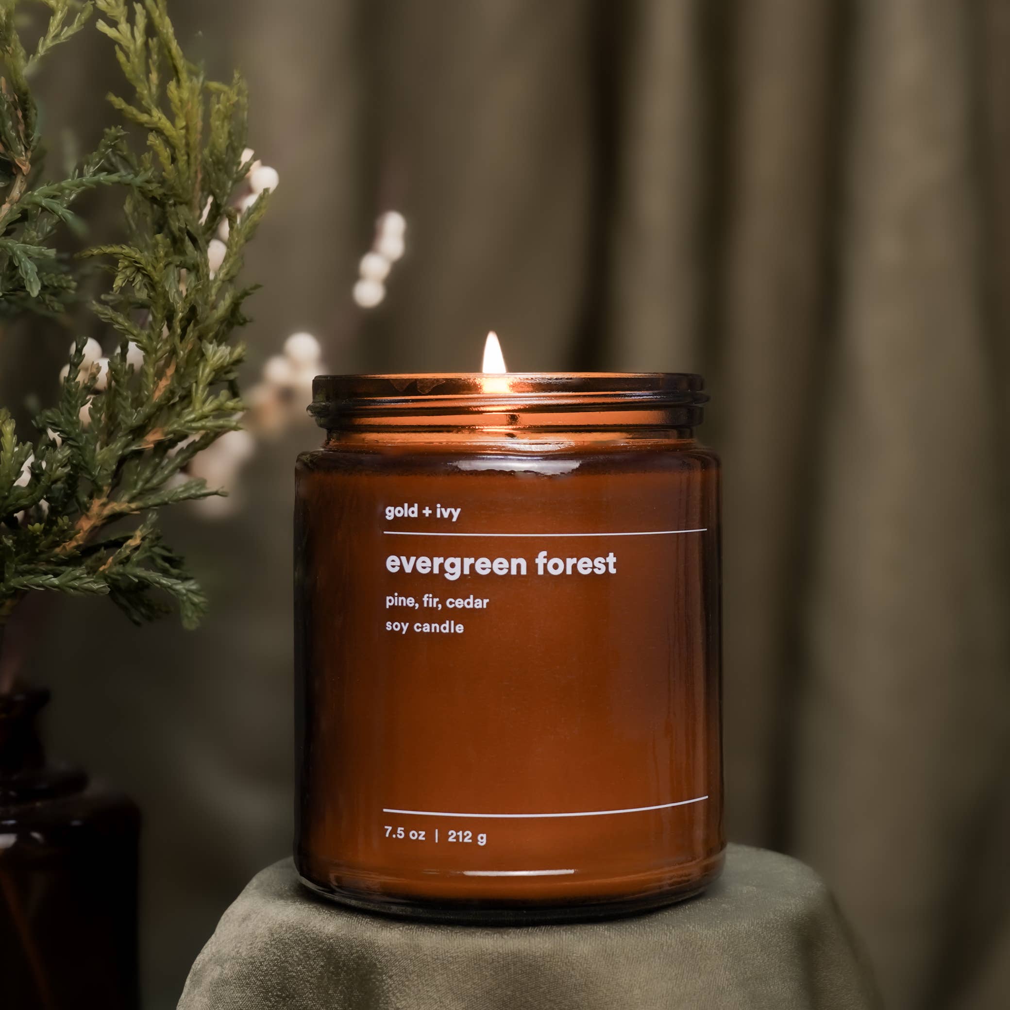 gold + ivy - Vente Bougie en bocal - bougie en cire de soja forêt sempervirente - sapin, pin, cèdre5