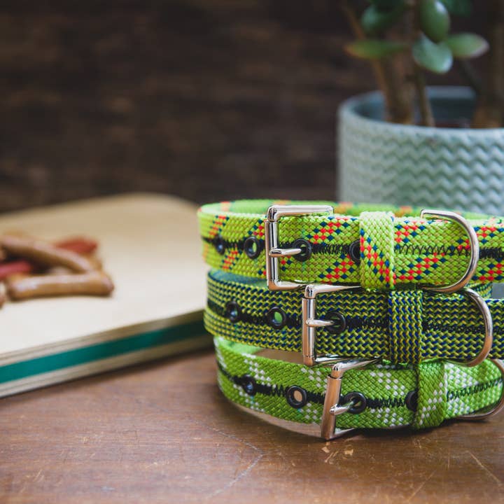 Scavenger - Wholesale Pet Collar - Dog - Dog Collar