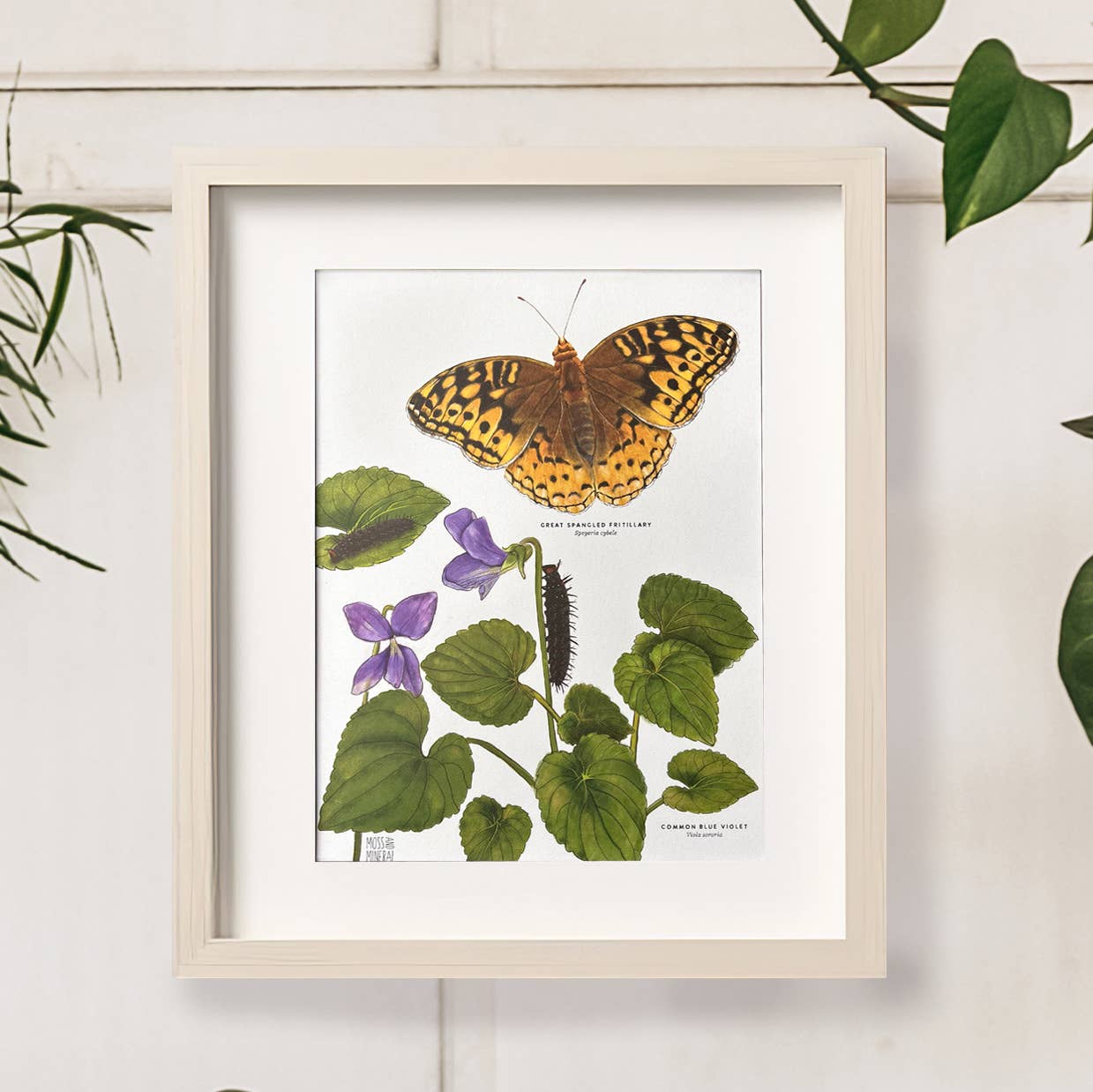 Moss and Mineral - Wholesale Art Print - Great Spangled Fritillary and Violet, Botanical Art Print 5