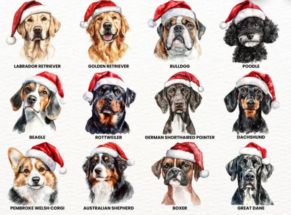 Cotton & Crate - Vente Coussin décoratif - Housse de Coussin pour Chien 45x45 cm5