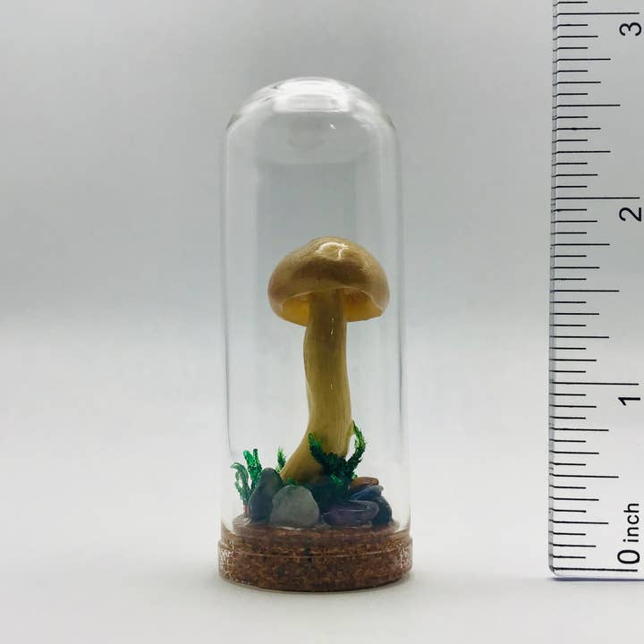 Äkta svampnyfikenhetsburk Svampudda dekoration 2,75" # 619 för wholesale av Fungus Farm LLC