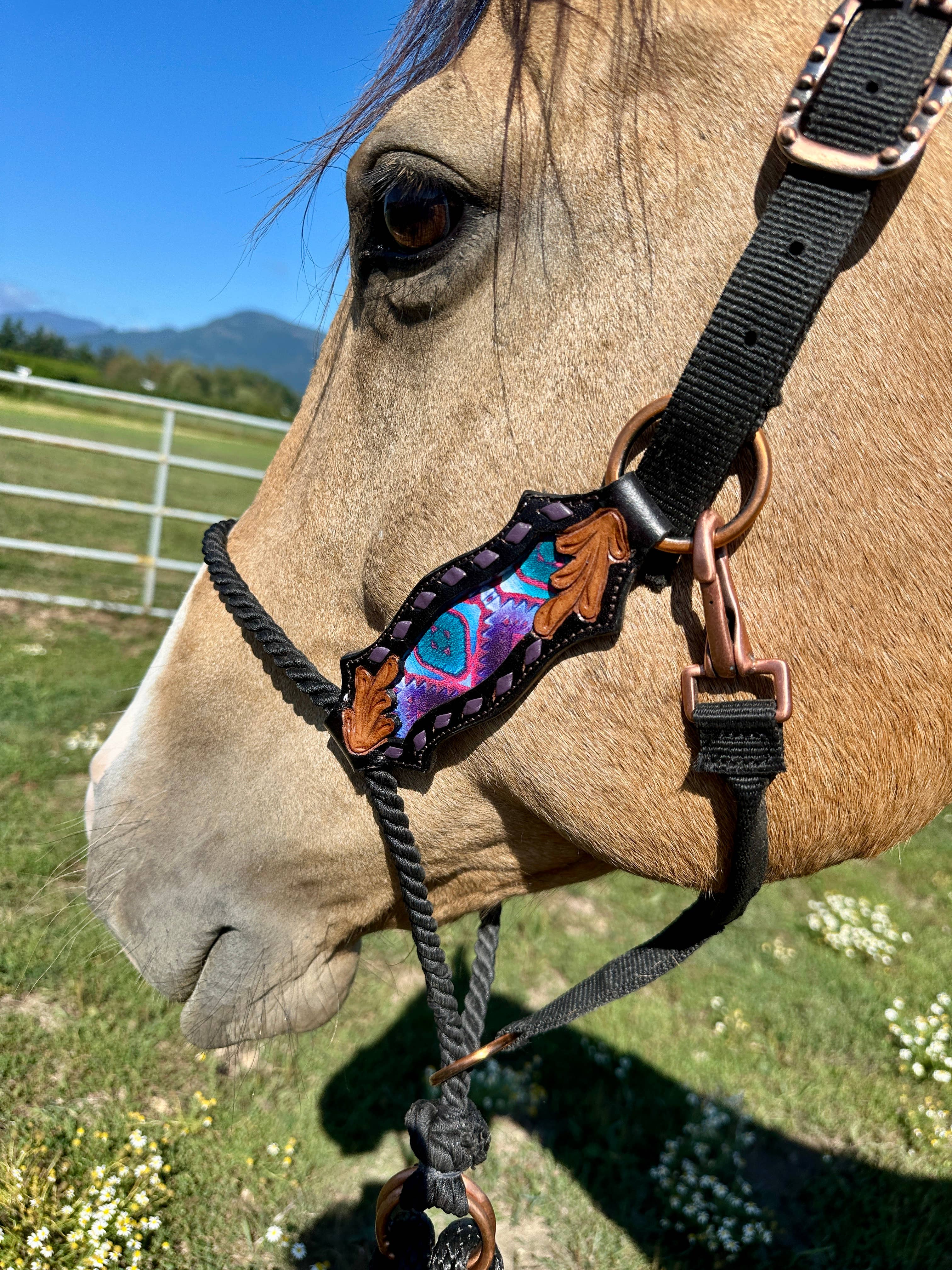 Schulz Equine - Wholesale Horseback Riding Gear - Lariat Nose Halter10