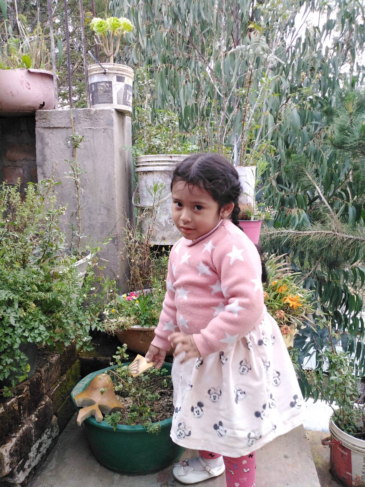 Blossom Inspirations - Wholesale Ornament - Rudolph the red nose reindeer gourd7