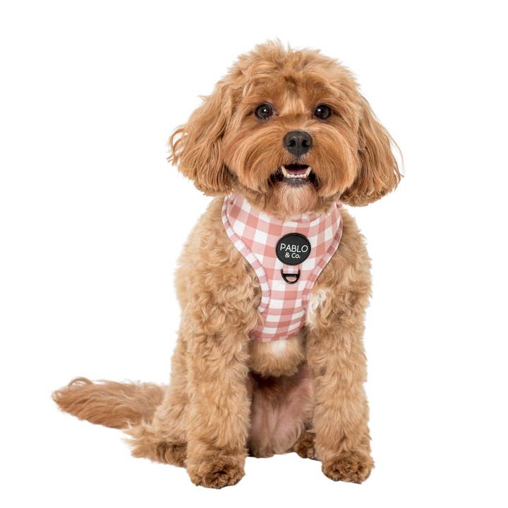 Pablo & Co. Boutique - Wholesale Pet Harness - Dog - Chocolate Gingham: ADJUSTABLE DOG HARNESS