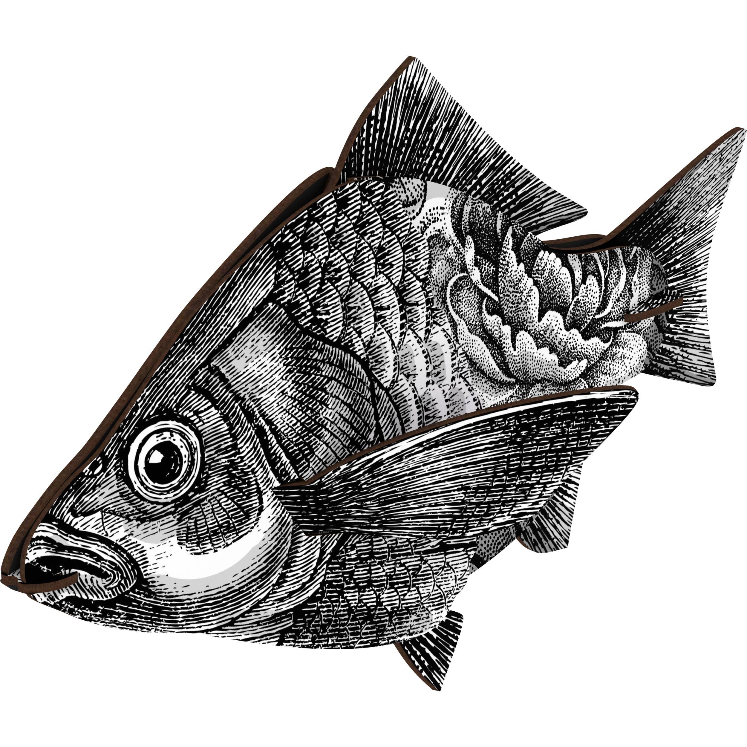 Miho Unexpected Things - Wholesale Wall Accent - Miho - Decorative Fish (large) - The Entrepreneur1