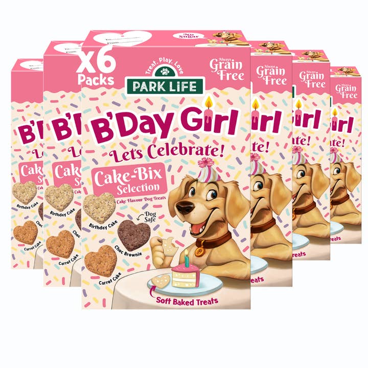 Cake-Bix B'Day Girl Cake Selection 240g for wholesale by PARK LiFE