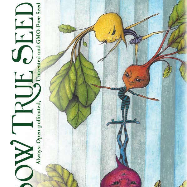 Sow True Seed - Wholesale Plant Seeds - Beet Seeds - Rainbow Blend
