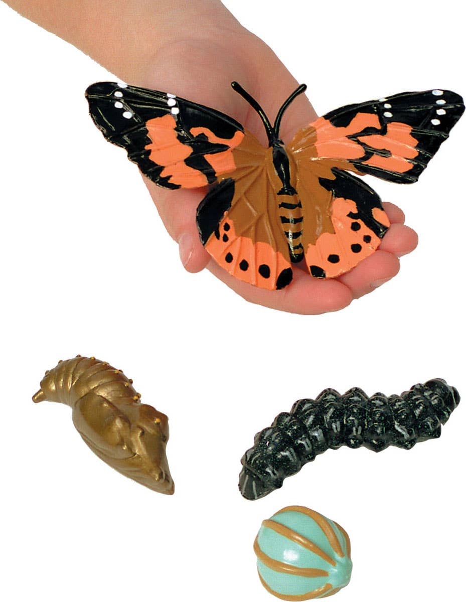 INSECT LORE - Vente Figurine – enfant - Figurines du cycle de vie - Ensemble de 24 pièces5