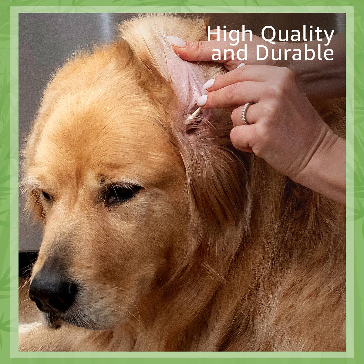 Ibambo - Wholesale Cotton Swab/Q-Tip - Ibambo Bamboo Cotton Swabs - 200 Pack 5