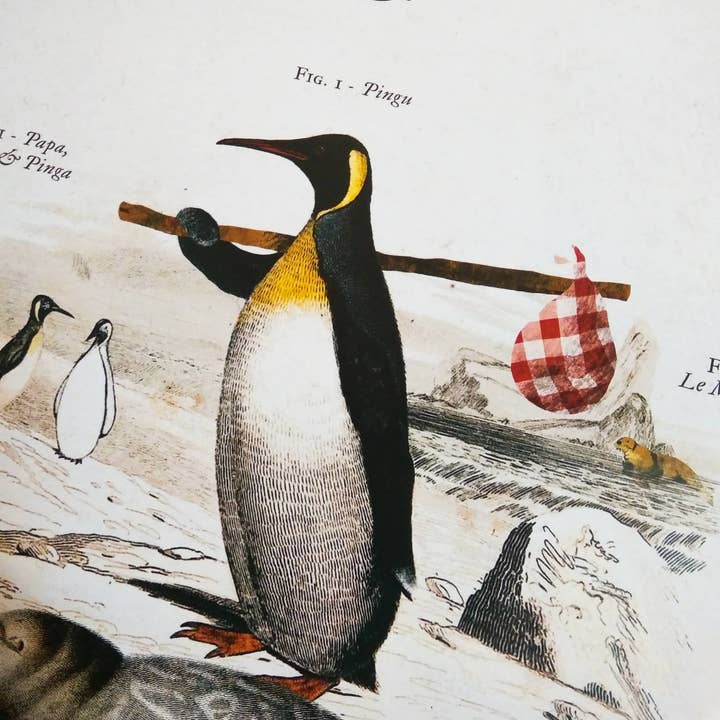 Maison Chapal - Venta al por mayor Pósteres - Historia natural de Pingu • Los héroes de nuestra infancia