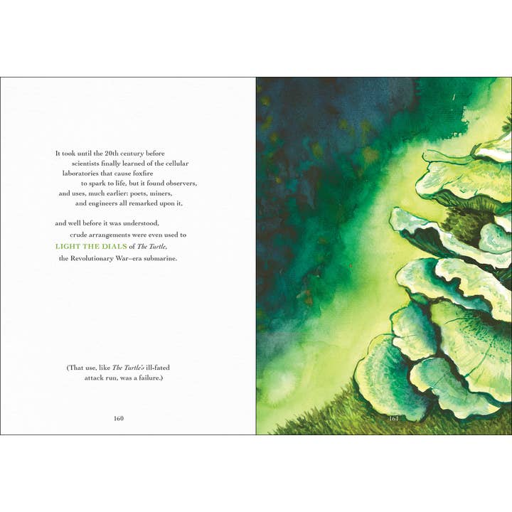 AdventureKEEN - Wholesale Nature & Outdoors - Wonder of Mushrooms9