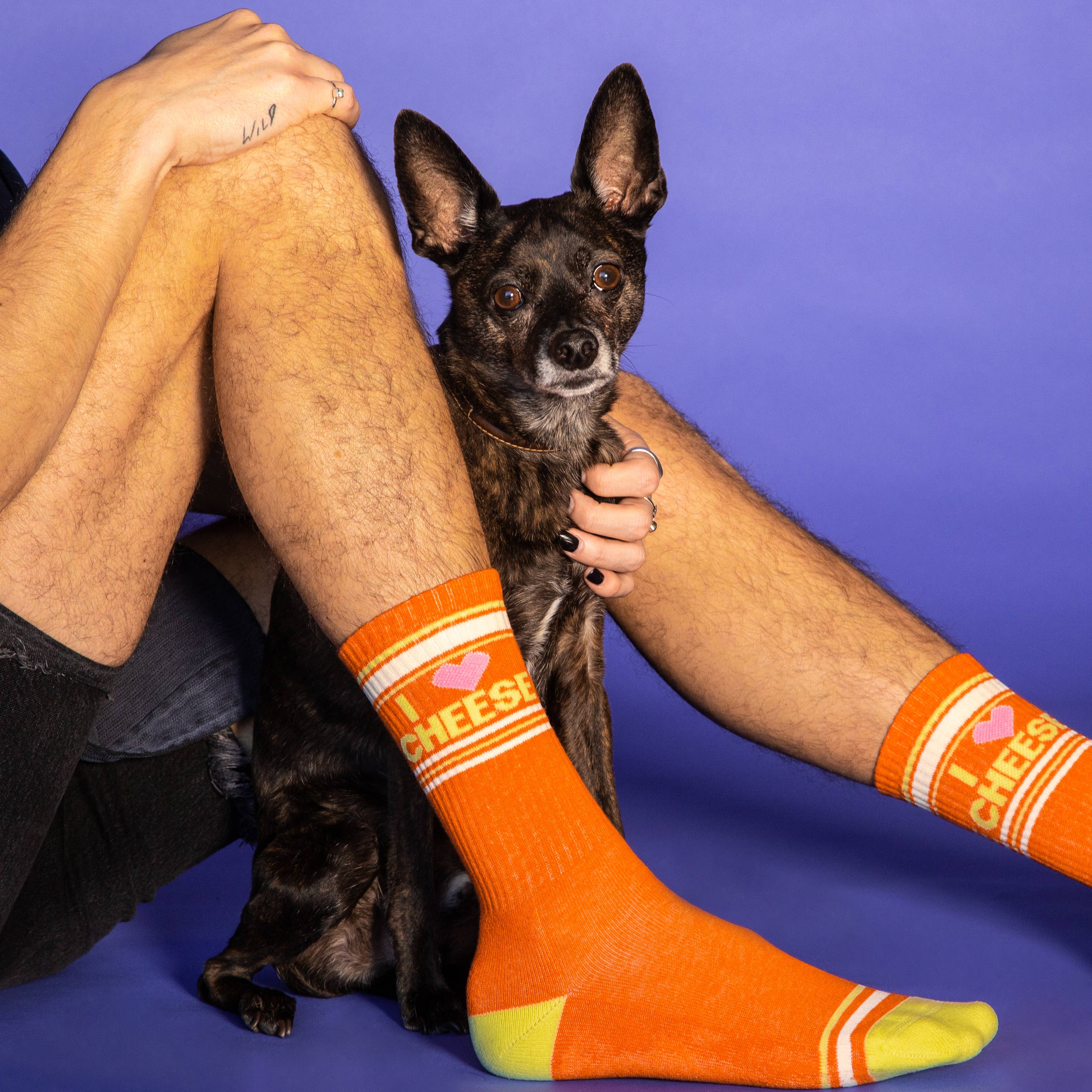 Gumball Poodle – wholesale Socks – Unisex – I ❤️ Cheese Gym Crew Socks - Foodie Gift4