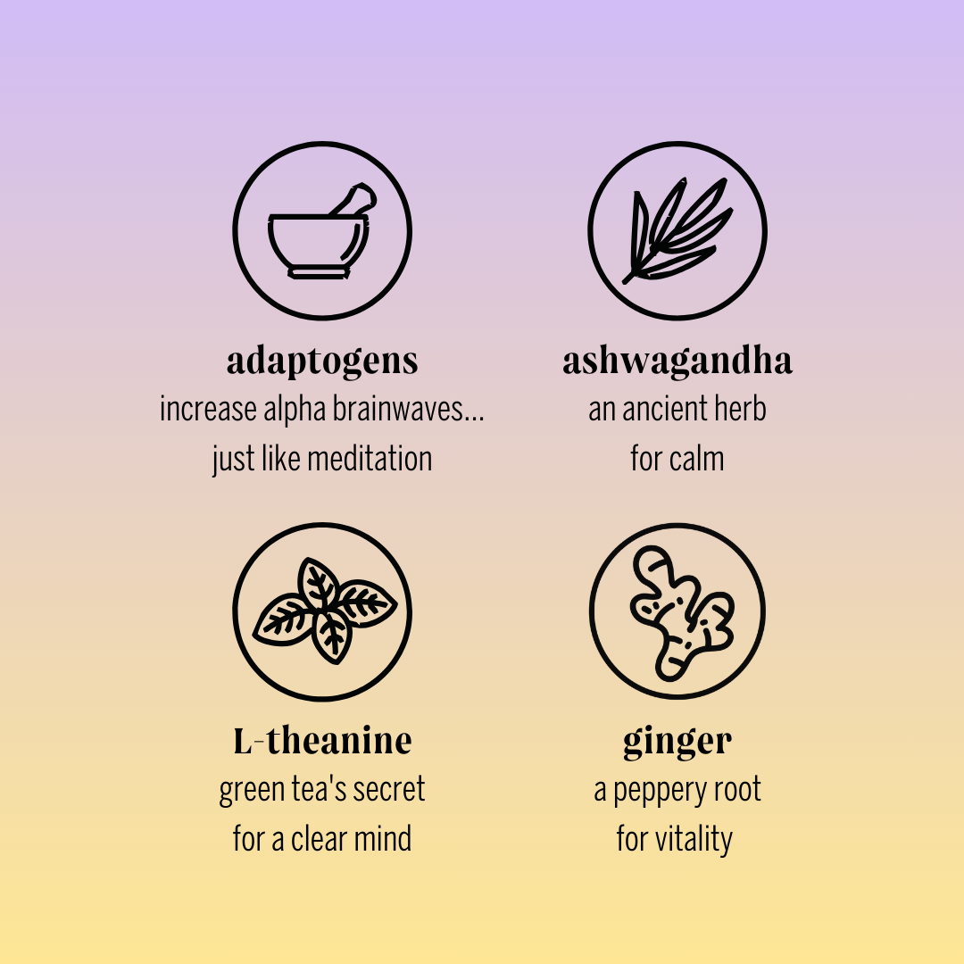 Moment - Wholesale Flavored/Infused Water (Non-Carbonated) - Blueberry Ginger 12-pack Botanical Water2