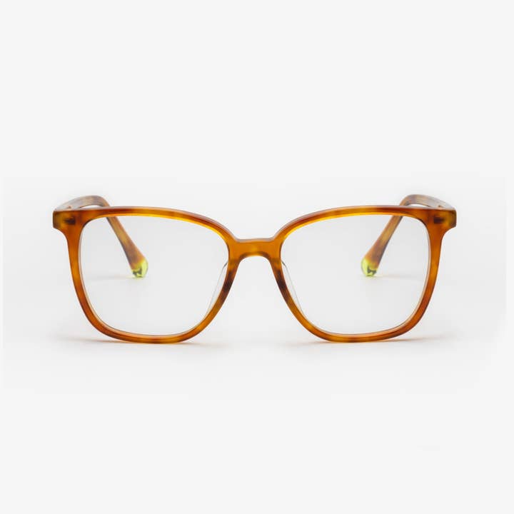 Venedig Kanel Formuleret for engroshandel hos Sajú