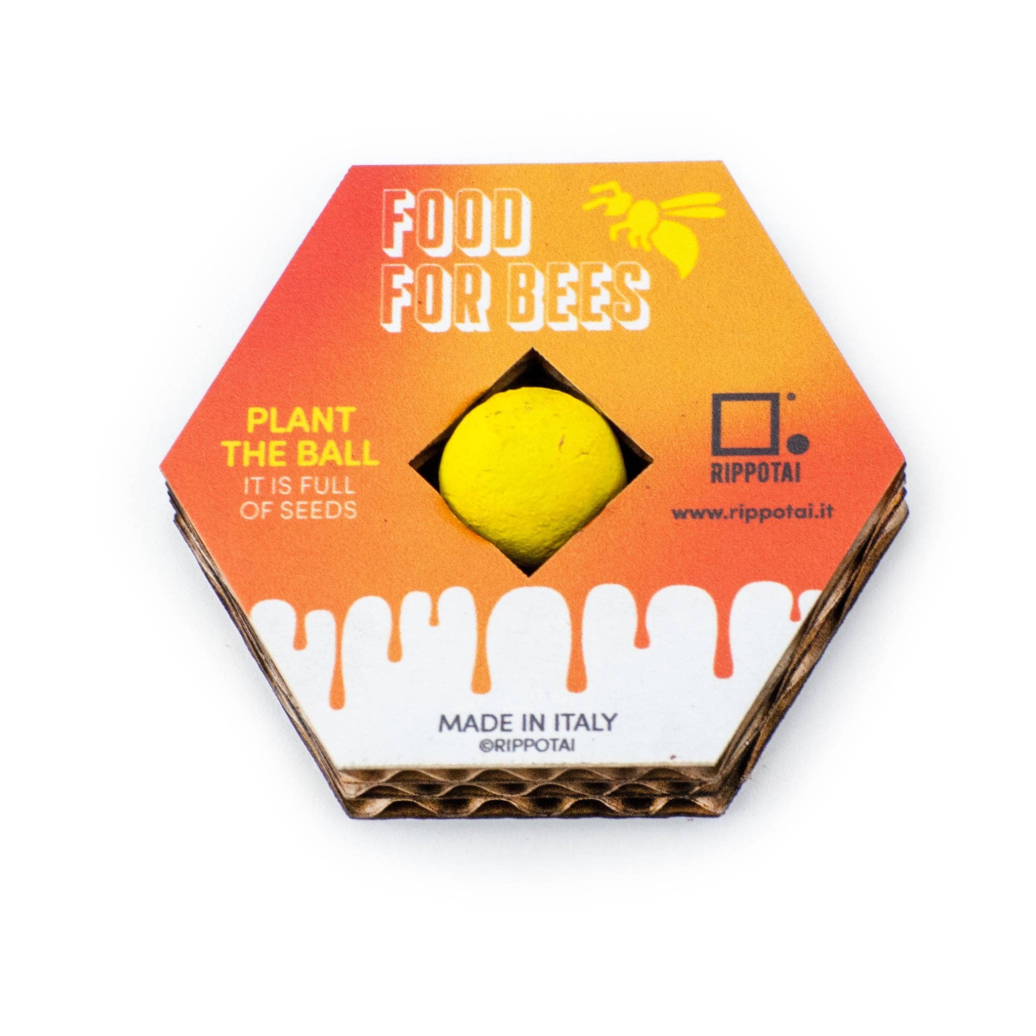 Rippotai - Wholesale Plant Seeds - Flowers for Bees – Biodiversity Kit with Plantable Pencil and Seed Bomb2