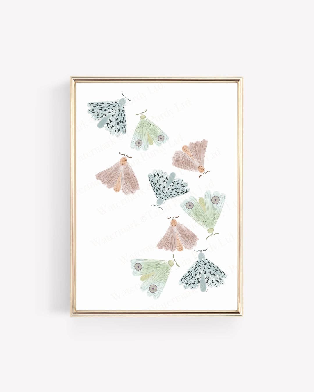 Tania Purdy – wholesale Art print – Moths0