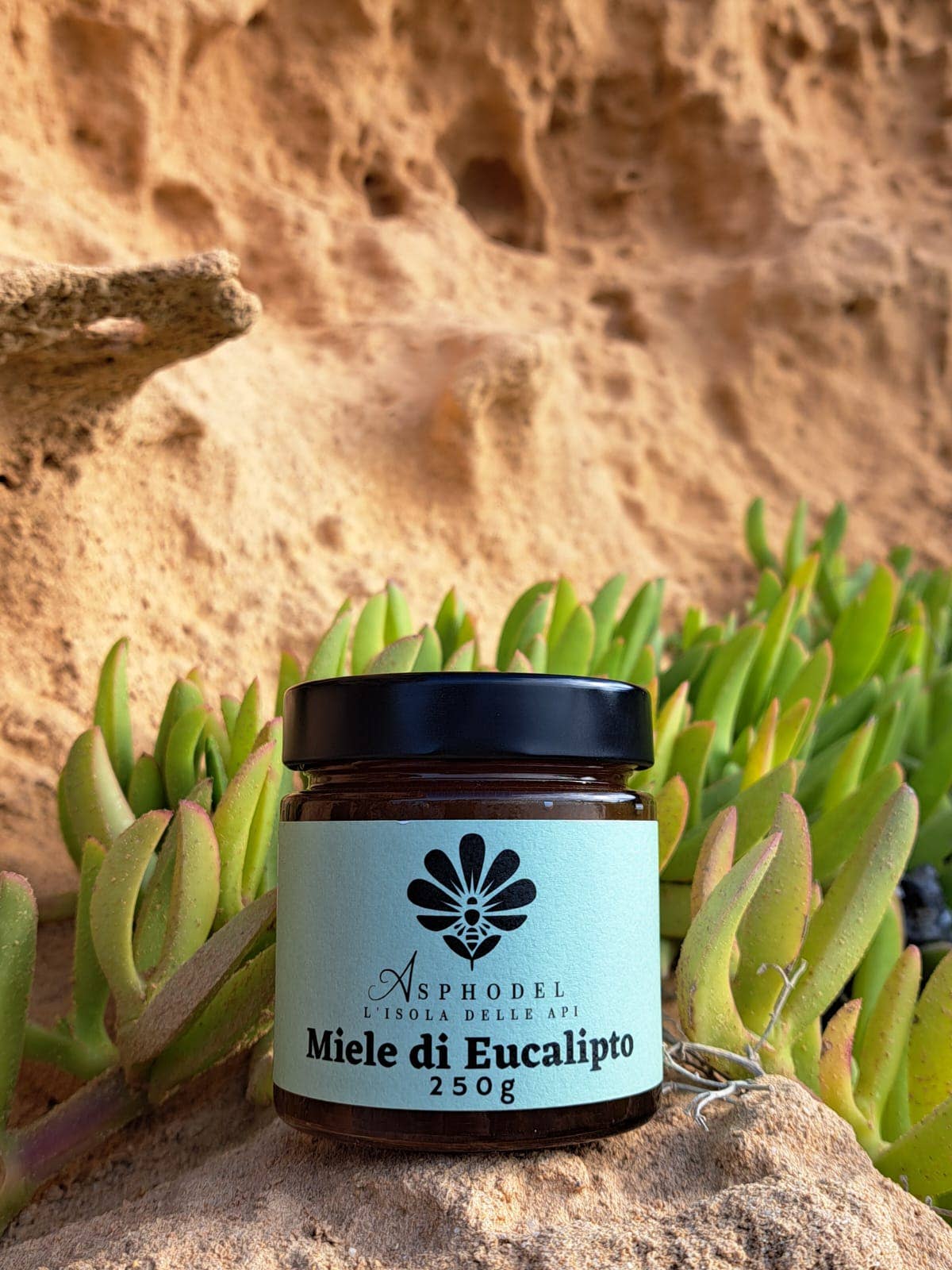 Asphodel - Wholesale Honey - Ocarittu - Eucalyptus Honey - Made in Italy 250g1