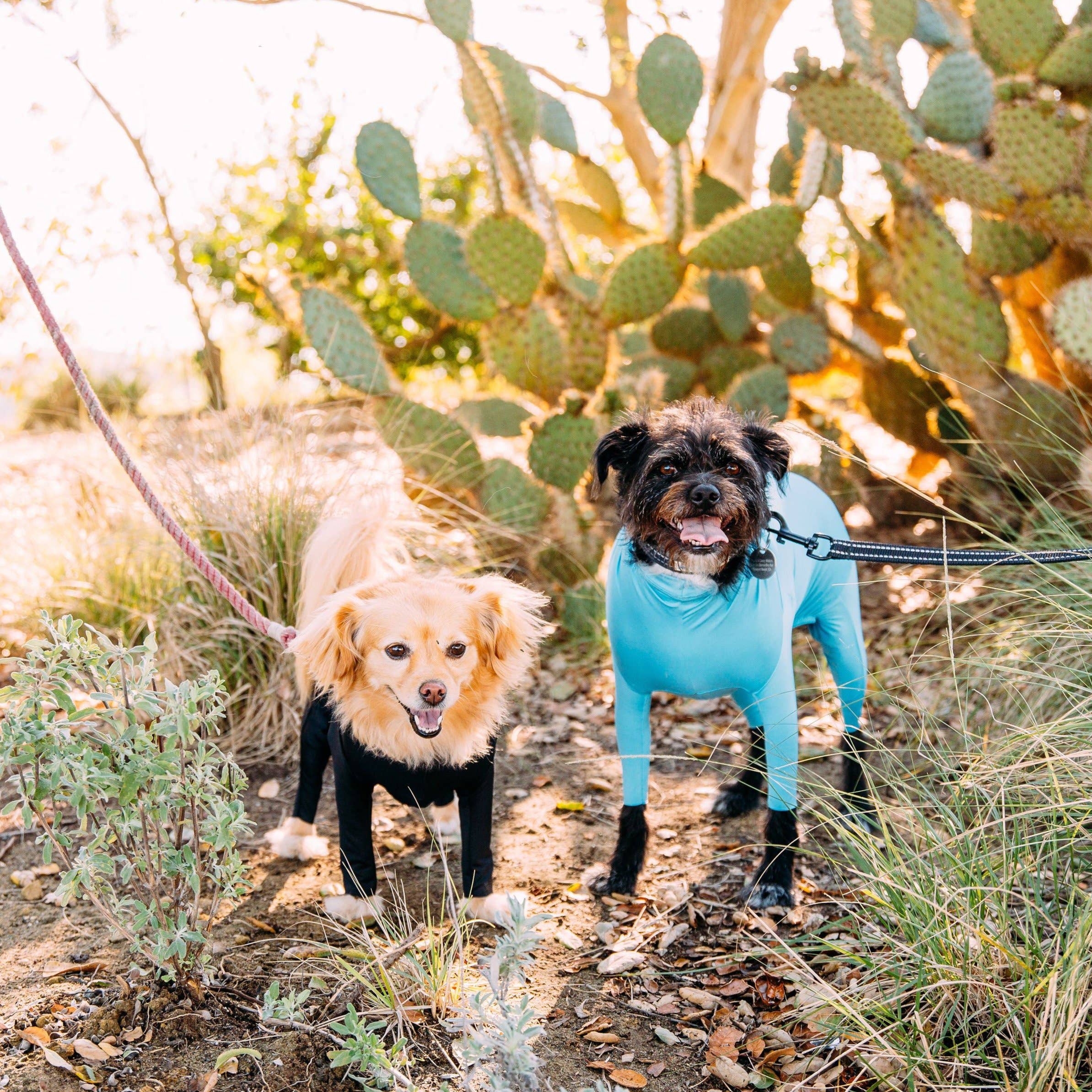 Shed Defender - Wholesale Pet Bodysuit - Cat/Dog - Shed Defender® Sport Dog Onesie - Shedding Bodysuit8