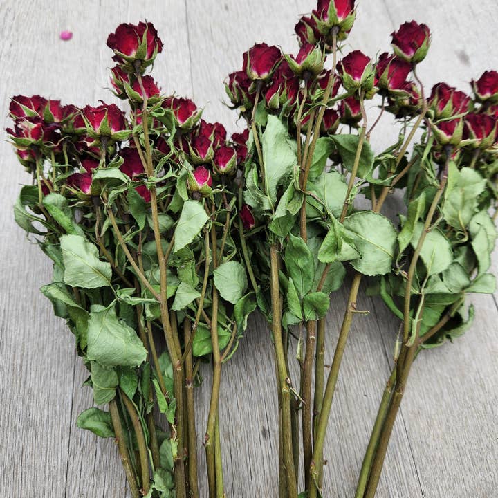 Alissas Flower Farm - Wholesale Dried/Pressed Flowers - Dried Roses, Spray