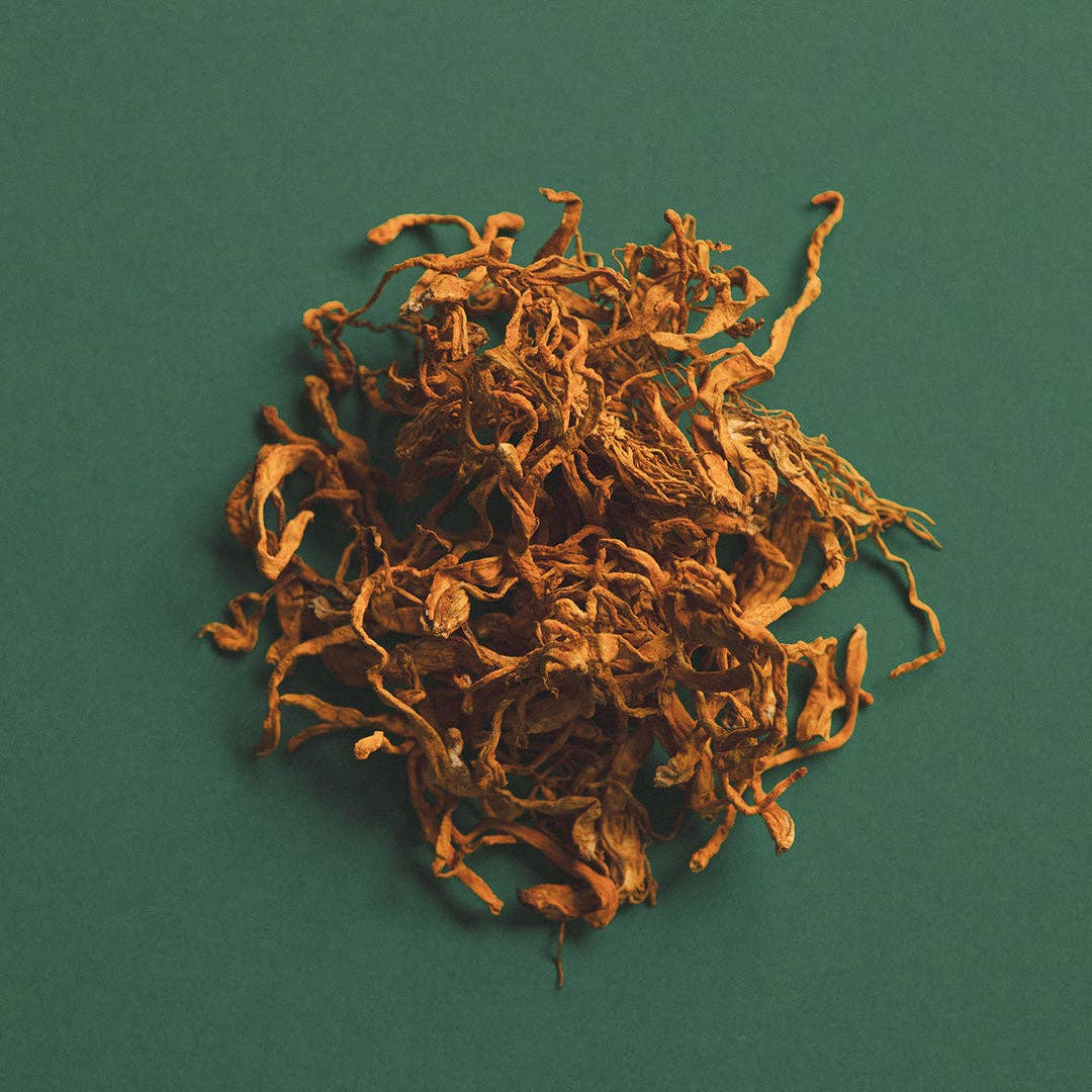 Ode Health - Wholesale Oral Supplement/Vitamin - CORDYCEPS HONEY PEARLS3