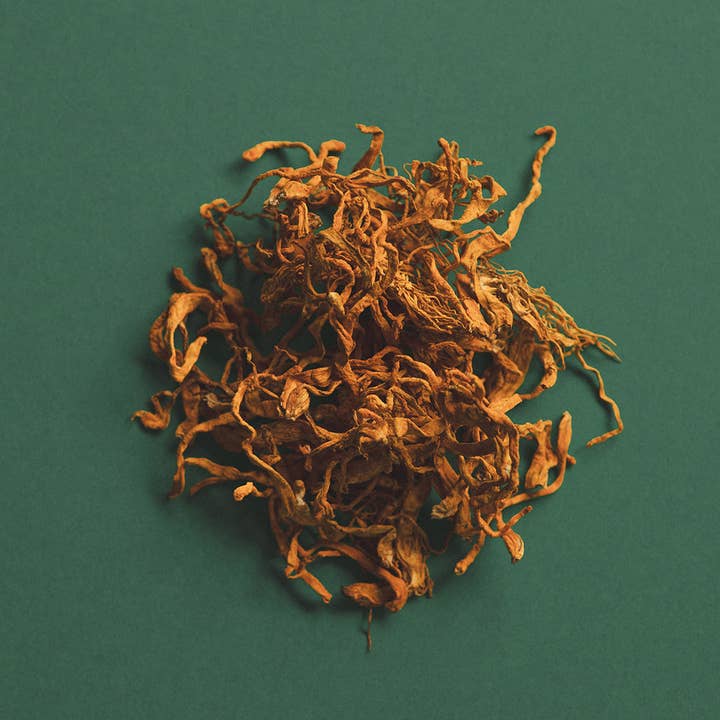 Ode Health - Wholesale Oral supplement/vitamin - CORDYCEPS HONEY PEARLS3