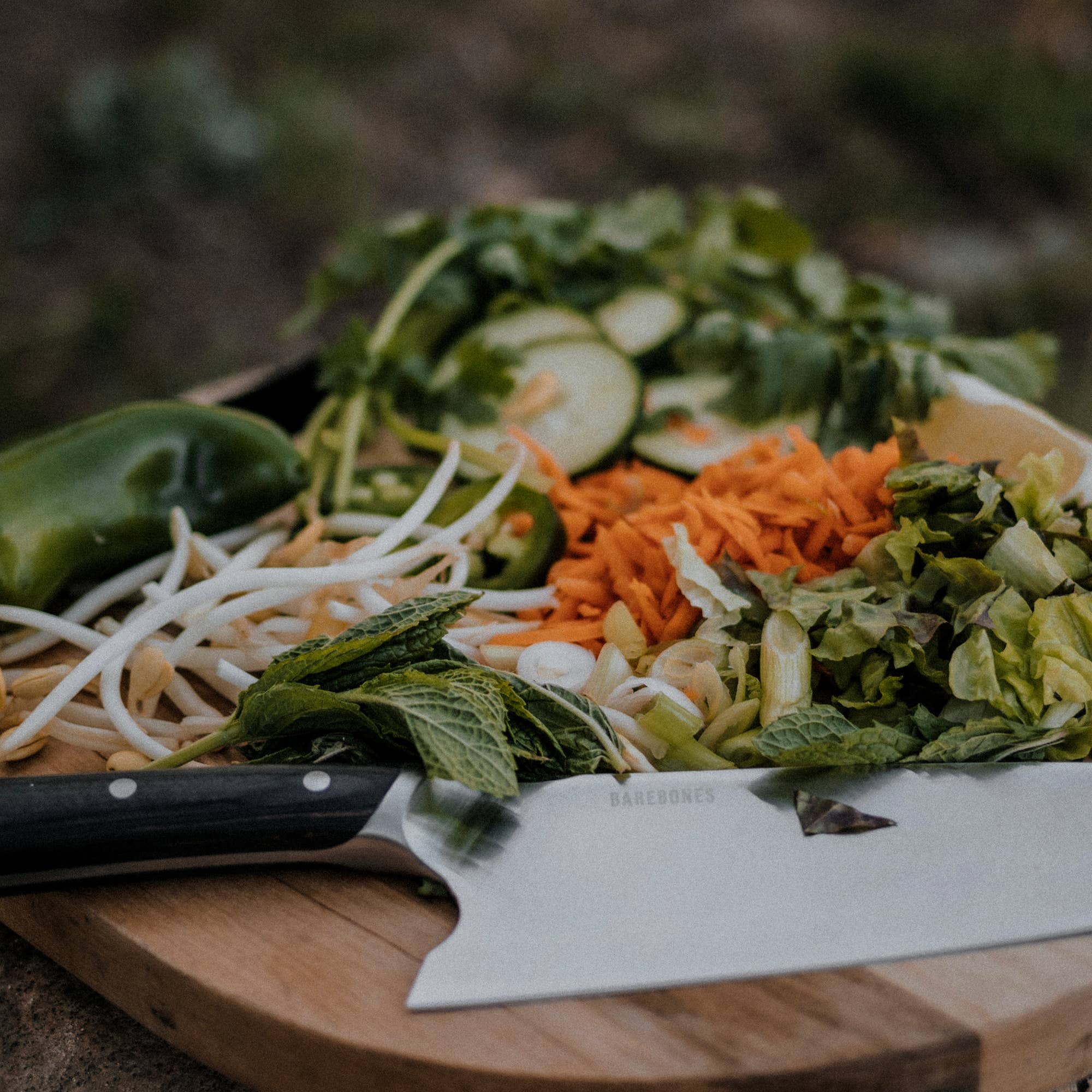 Barebones - Wholesale Kitchen/Utility Knife - No. 8 Chef Knife2