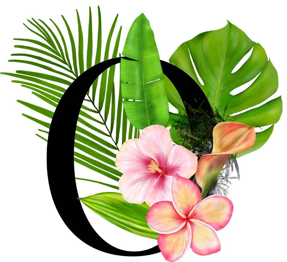 Mason Jar Merchant – Großhandel Trinkglas/Tasse – Einmachglas-Tumbler mit tropischem Monogramm14