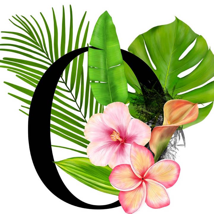 Mason Jar Merchant – Großhandel Trinkglas/Tasse – Einmachglas-Tumbler mit tropischem Monogramm14