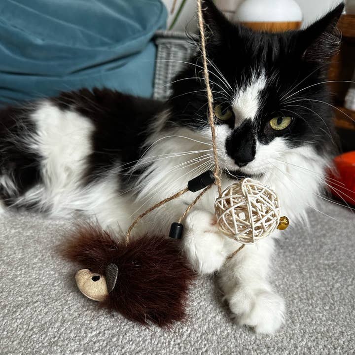 Ancol Pet Products Ltd - Wholesale Pet Toy - Cat - Changeable Cat Dangler Wand For Interactive Play 1