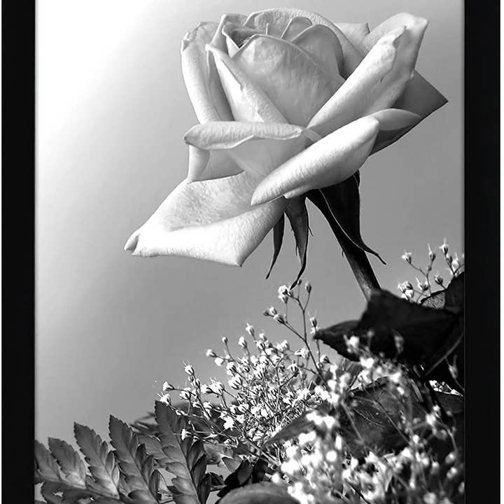 Americanflat - Wholesale Picture Frame - Americanflat Poster Frame with Wide Molding252