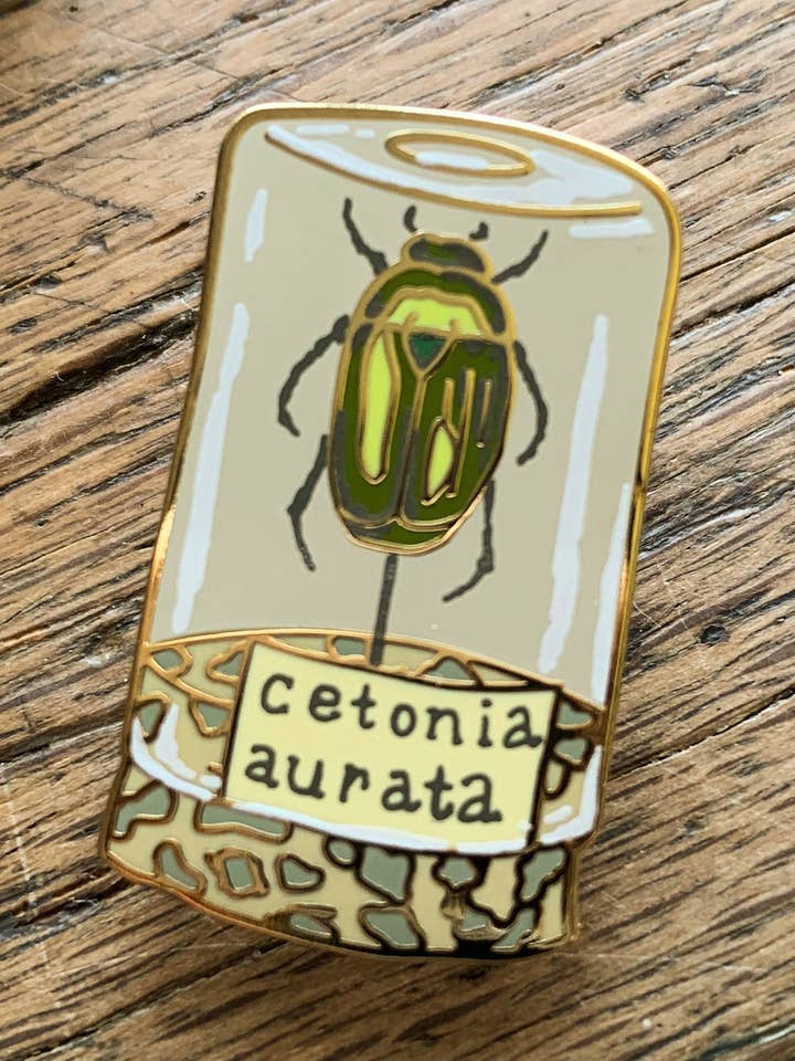 Beetle Specimen Jar Entomology Enamel Pin Badge for wholesale by Georgiou Draws