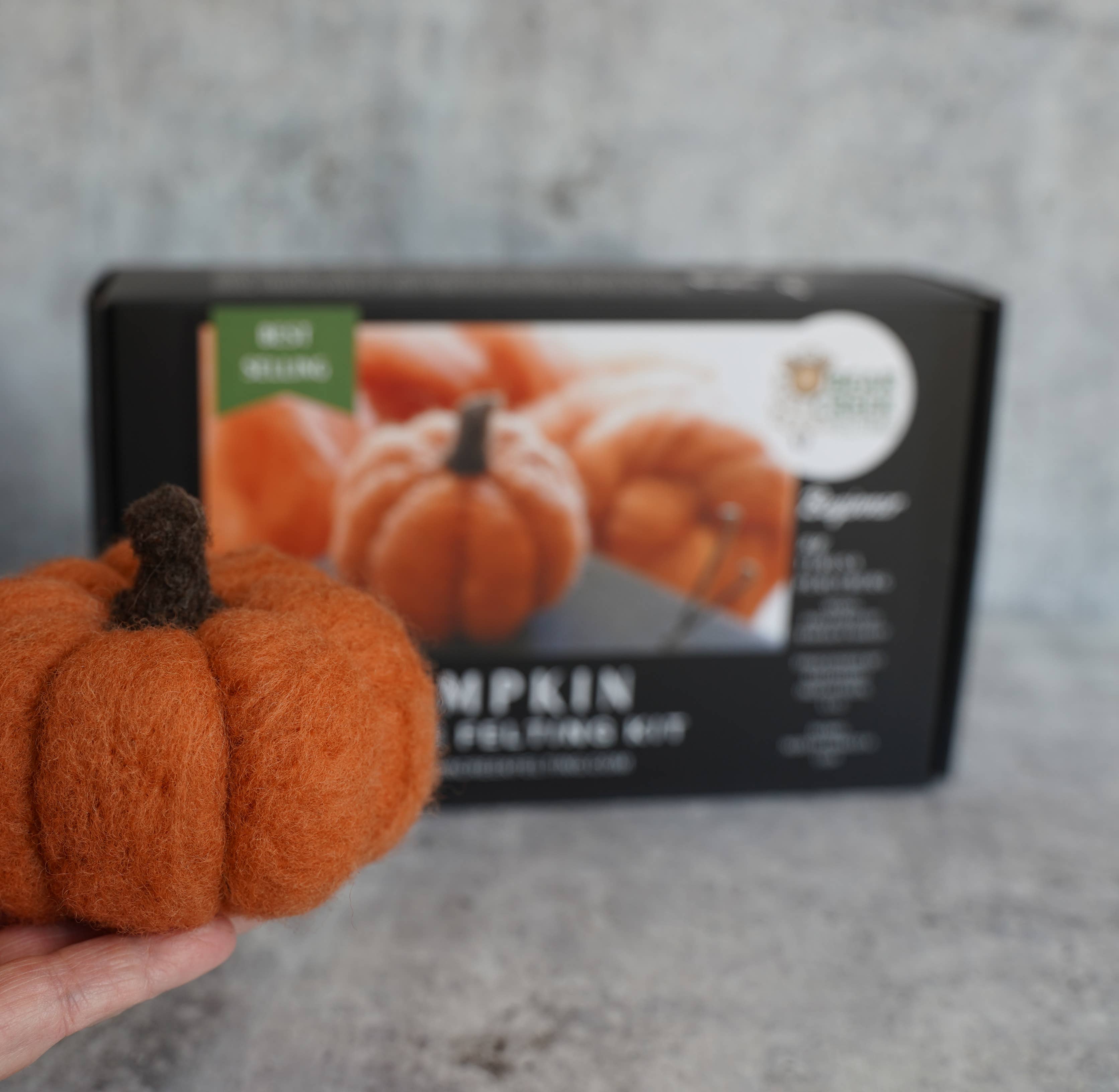 Bear Creek Felting - Vente Kit de bricolage - Kit débutant de feutrage à l'aiguille citrouille9