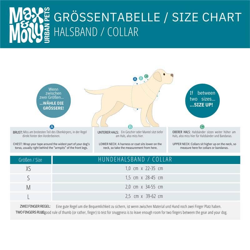 Max & Molly – wholesale Halsband - Hund – JAG HAR FATTAT! Smart ID Hundhalsband - Små monster6
