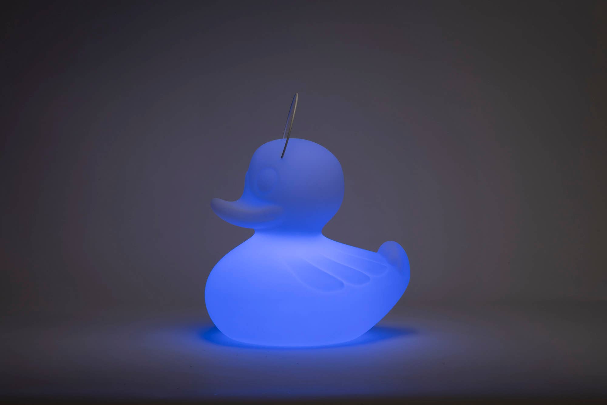 Goodnight Light - Wholesale Accent/Desk Lamp - The Duck Duck Lamp XL 51 cm - floating rechargeable lamp18