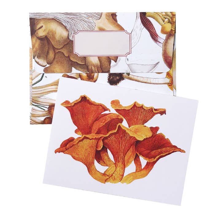 Artistry Cards - Wholesale Stationery/Notecard Set - Boxed Set of 8 Vintage Mushroom Greeting Cards5